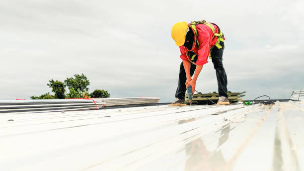 Best Metal Roofing Installation  in Kaneohe, HI